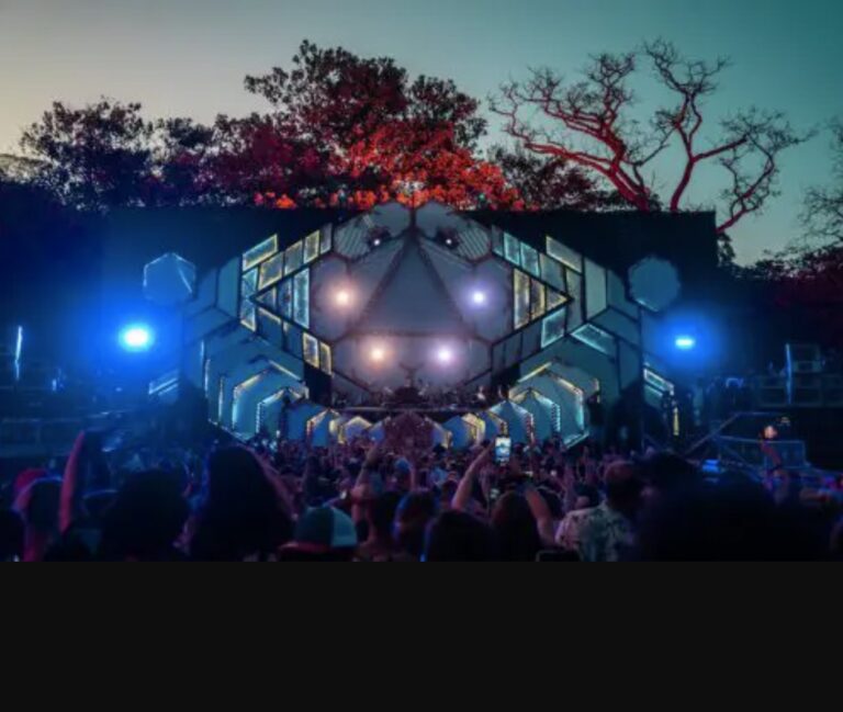 Underground music festival 2 768x649
