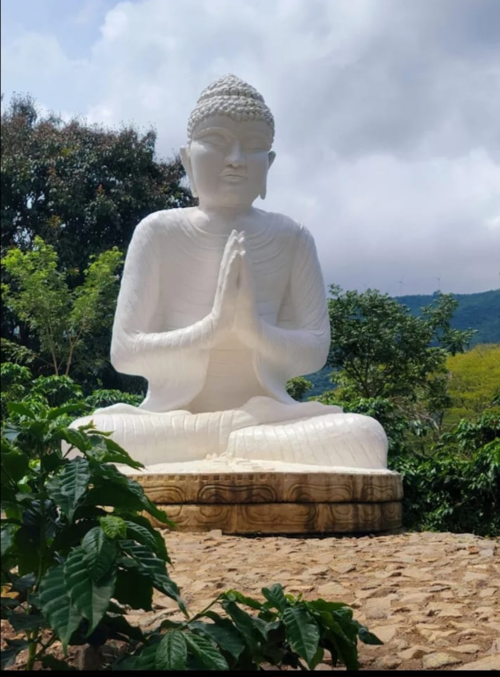 Decor and peaceful setting that frames the Mari experience