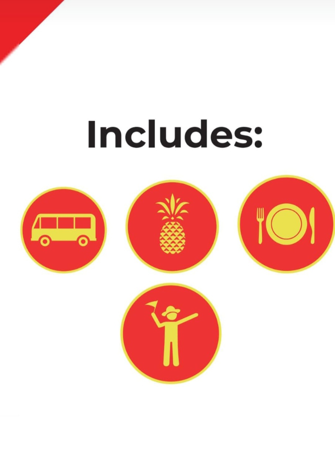 Details of what’s included in a curated experience