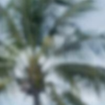 Picture of Dahiana Richardson