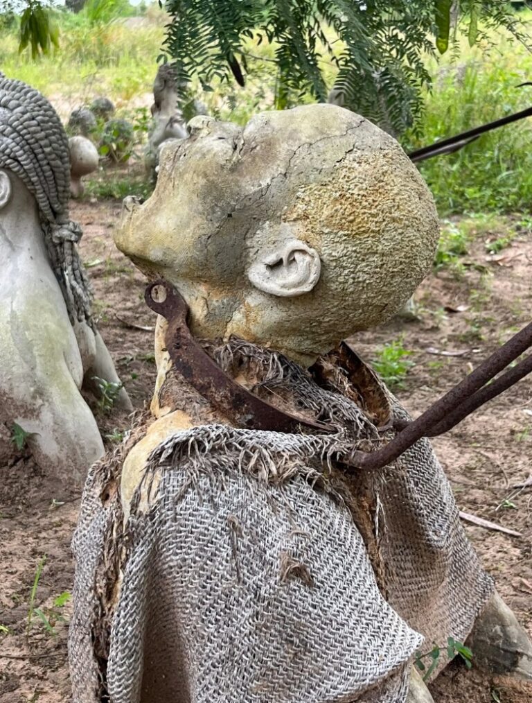 picture 2 1 1 768x1014