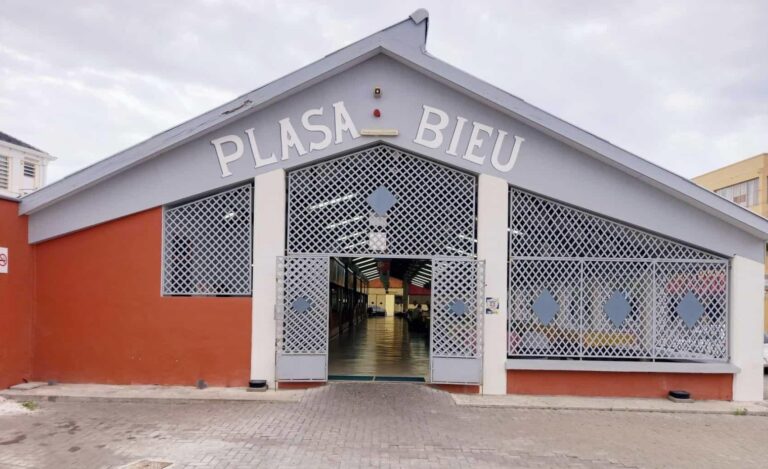 Plasu 768x469